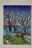 Ganivelle aux arbres rouges